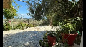Tierra - Image 4