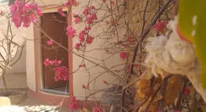 Subhadra ecolodge - Image 5