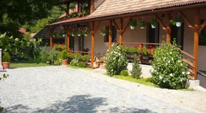 CASA DE OASPETI LIVIU - Image 4