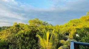 MO’s Agro - Image 4