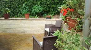 Sunny Patch - Image 3