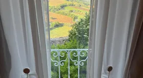 Well Home Serra 31 - Image 4