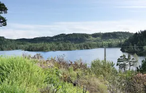 Great Holiday Apartment - Øyslebø - Image 4