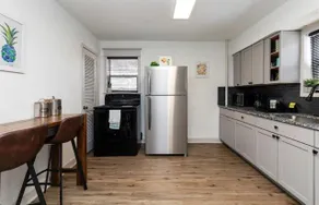 Fun Backyard Close to Downtown Pet Friendly 4BDRM - Image 4