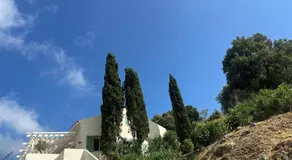 Casa Mimosa - Image 5