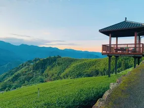 Dafang Tea B&B - Image 5