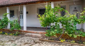 Julia Apartman - Image 4