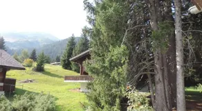 Montalin (452 Ti) 2. Stock - Image 3