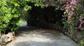 Rock garden - Image 5