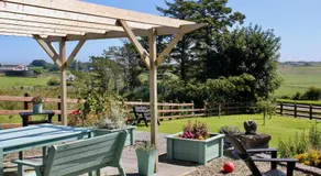 Sutzus - Image 4