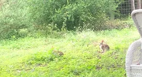 Parfait escapade sur 12 hectares isolés dans le pays des collines. - Image 4