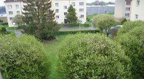 ROOM IN TREBON - Image 3