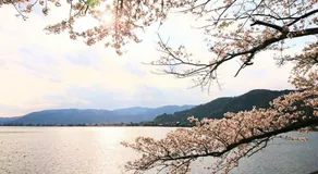 FarmStay INN 別館 三左衛門邸 Sanzaemontei 65m2 wide room - One group per day, one building available for exclusive use - Image 2