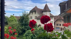La Vigne - Image 5