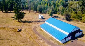 Tiny House Farm Stay Pets Welcome - Image 5