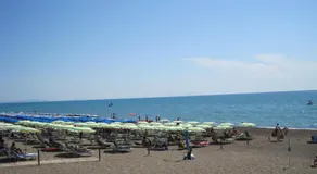 Villaedi - Image 5