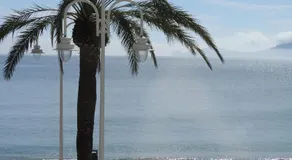 The Beach House Studios & Suites - Image 3