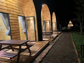 TNN Garden - Image 3