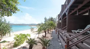 Native Sea Amami Adan On The Beach - Image 2