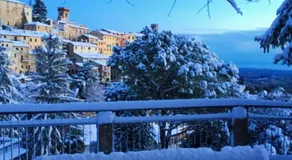 B&B Brunamonti - Image 2