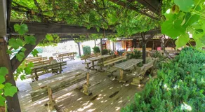 Gasthof Pisl - Image 4