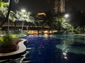 Skyhouse tower duxton view garden and pool - Image 3