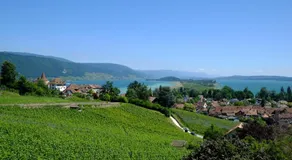 Ferienzimmer Zülli - Image 5