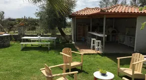 Green House - Image 5