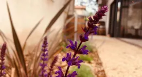 CHEZ FLO - Image 5