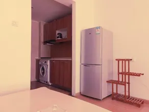 Langfang Shuai Uncle Light Luxury Homestay - Image 4