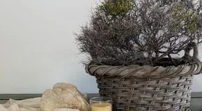 Un paraiso en la tierra - Image 2