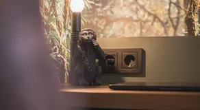 JUNGLE No5 Boutique Hotel - Stuttgart City-Center - Image 3