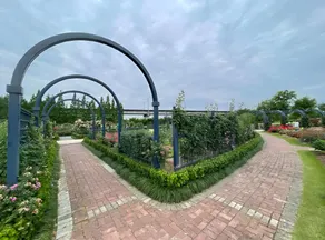 Starway Hotel Ningbo University Lulin - Image 4