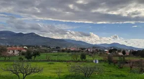 Calm And Nature - Image 1