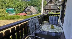 Top Ferienwohnung am Diemelsee, Sauerland Nähe Willingen Winterberg - Image 4