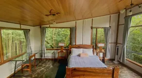 Natural Wonders House - Image 2