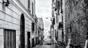 Belvedere 75 - Image 5
