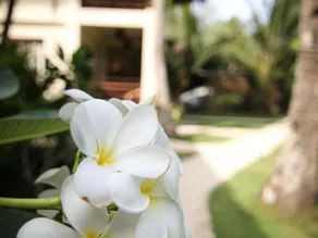 Buddha Resort - Image 5