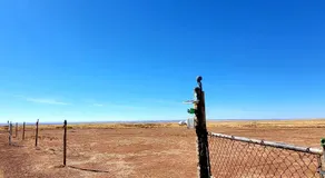 Alien Acres UFO Campground - Image 2