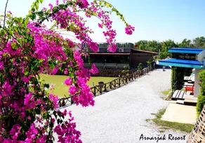 Arnarjak Resort - Image 4