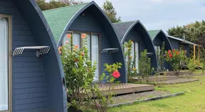Rangi Moana - Image 2