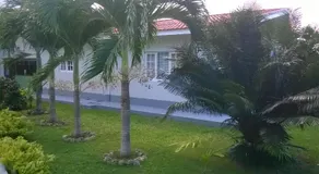 Fairy Hill Palms - Image 5