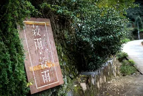 Guyu Guyu Hostel - Image 5