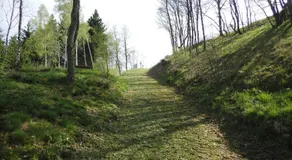 Studio Wangen - Image 3