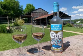Cascina a Houffalize con ampia terrazza - Image 2