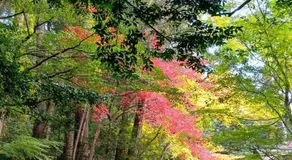 民泊ゆとろぎ - Image 3