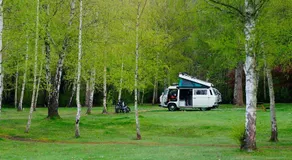 Hanmer Springs Forest Camp Trust - Image 5