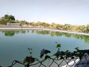 Varshavan Eco Unique 3- Bed Farm stay near Ellora. - Image 3