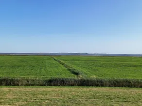 Ferienhaus Seeschwalbe in Dornumersiel - Image 4
