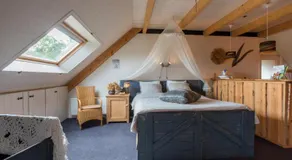 De Notenboom - Image 2